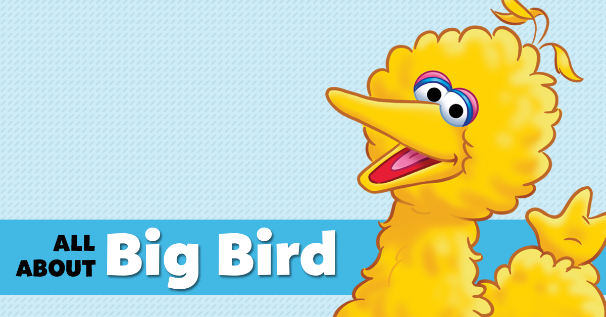 Five Feathery Facts About Big Bird - Studio Fun International