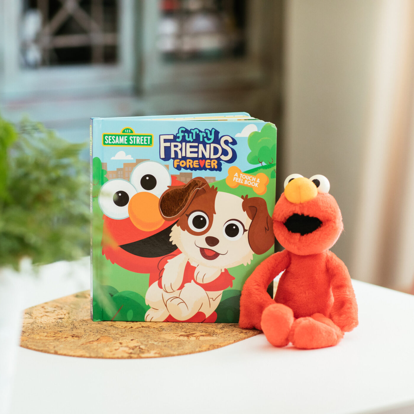 Sesame Street: Furry Friends Forever